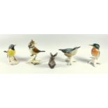 A group of four Karl Ens porcelain birds, to include a kingfisher model No 7519, 12 cm high,
