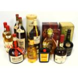 11 Assorted Brandies and Cognacs to include 2 x litre bottles of Asbach Uralt brandy, 1 bottle