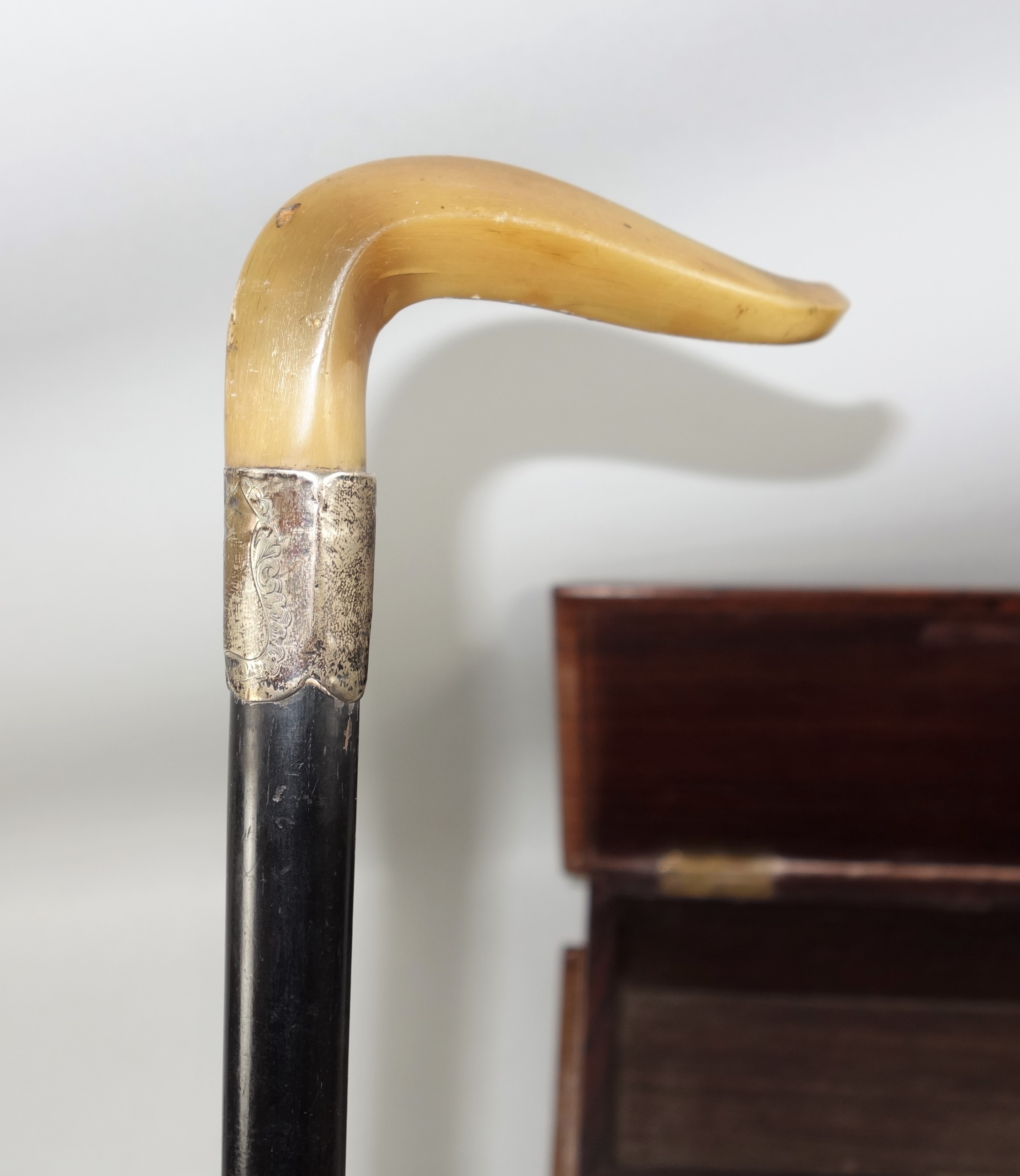 Edwardian ebonized walking stick with a goat?s bone handle and silver collar, London 1901, H 79.5cm, - Image 3 of 4