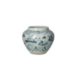A blue and white porcelain jar, decorated with mandarin ducks and water plants. Unmarked. China,