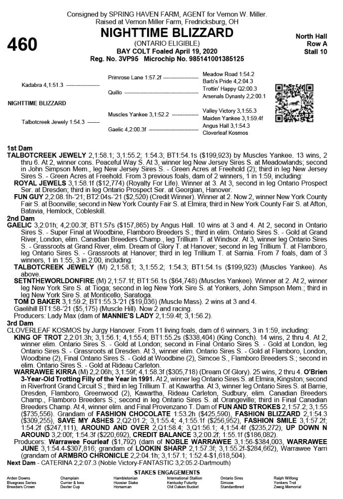2021 Standardbred Horse Sales Company Annual Sale (Day 3)