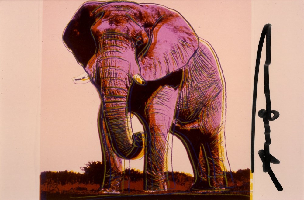 ANDY WARHOL - African Elephant - Original color analogue photograph