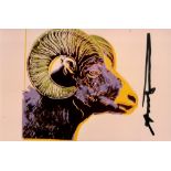 ANDY WARHOL - Bighorn Ram - Original color analogue photograph