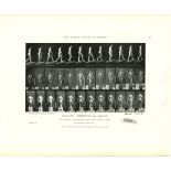 EADWEARD MUYBRIDGE - Athlete: Ascending an Incline - Original photomezzotint & letterpress