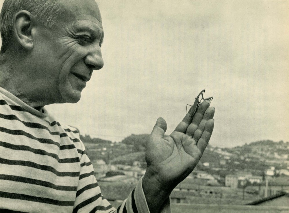 ROBERT DOISNEAU - Picasso et mantis de prière - Original vintage photogravure