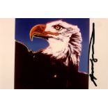 ANDY WARHOL - Bald Eagle - Original color analogue photograph
