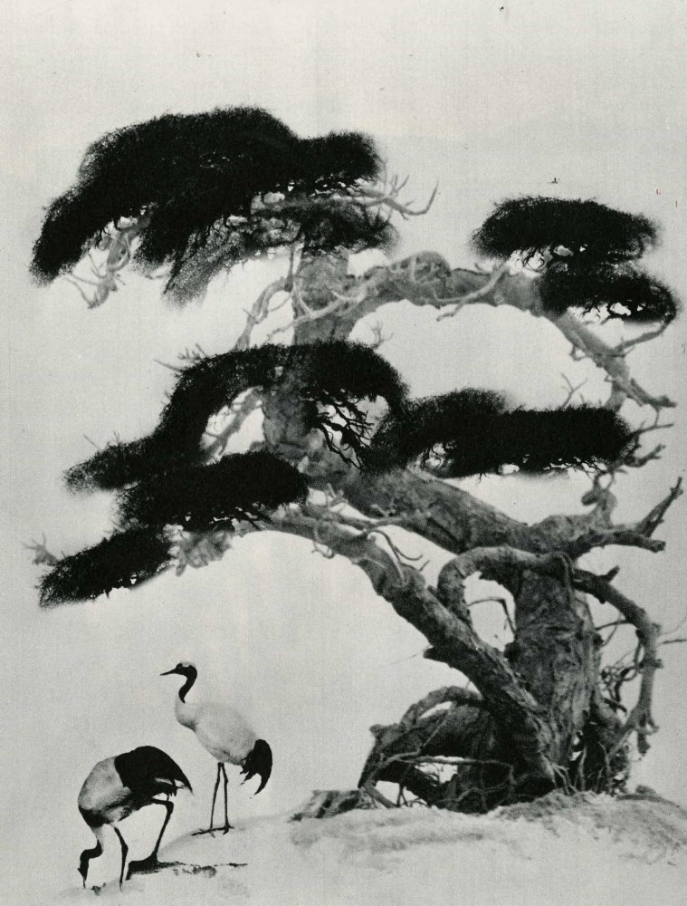 CHIN-SAN LONG [lang jingshan/lang ching-shan] - Chinese Painting I - Original vintage photogravure