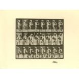 EADWEARD MUYBRIDGE [d'apres] - Girl Watering - Original photogravure