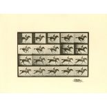 EADWEARD MUYBRIDGE [d'apres] - Jockey on Galloping Horse (The Horse in Motion) - Original photogr...
