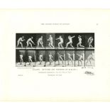 EADWEARD MUYBRIDGE - Athlete: Catching and Throwing at Base-Ball - Original photomezzotint & lett...