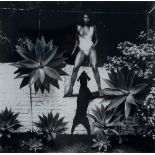 HELMUT NEWTON - Raquel Welch in Her Backyard, Beverly Hlls - Original vintage photolithograph