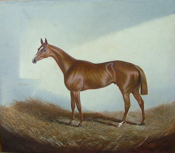 ALFONSO GRAY/GREY - The Racehorse 'Recorder' - Oil on canvas - Image 2 of 6