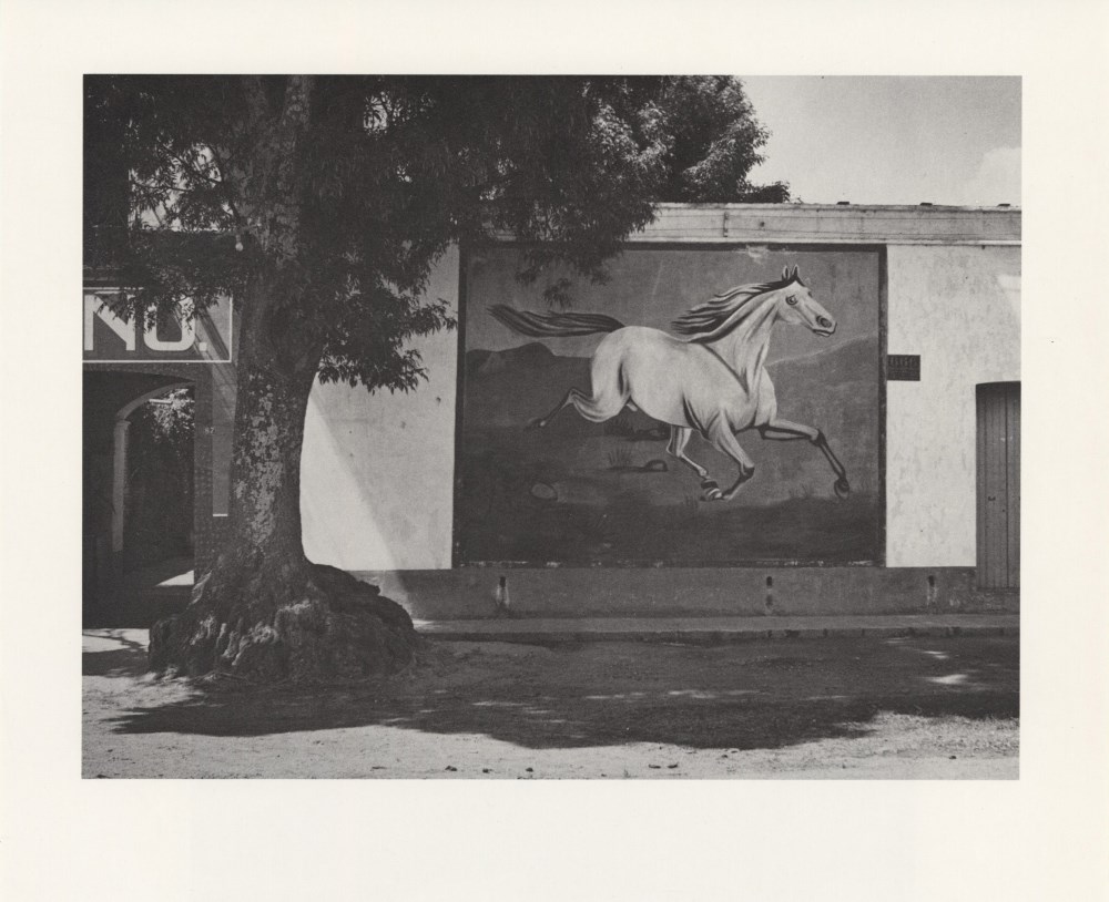 MANUEL ALVAREZ BRAVO - Paisaje y Galope (Paisaje de Equitacion) - Original photogravure