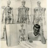 GEORGE PLATT LYNES - Skeletons with Penis - Original vintage photogravure