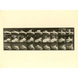 EADWEARD MUYBRIDGE [d'apres] - Woman Getting up from Bed - Original photogravure