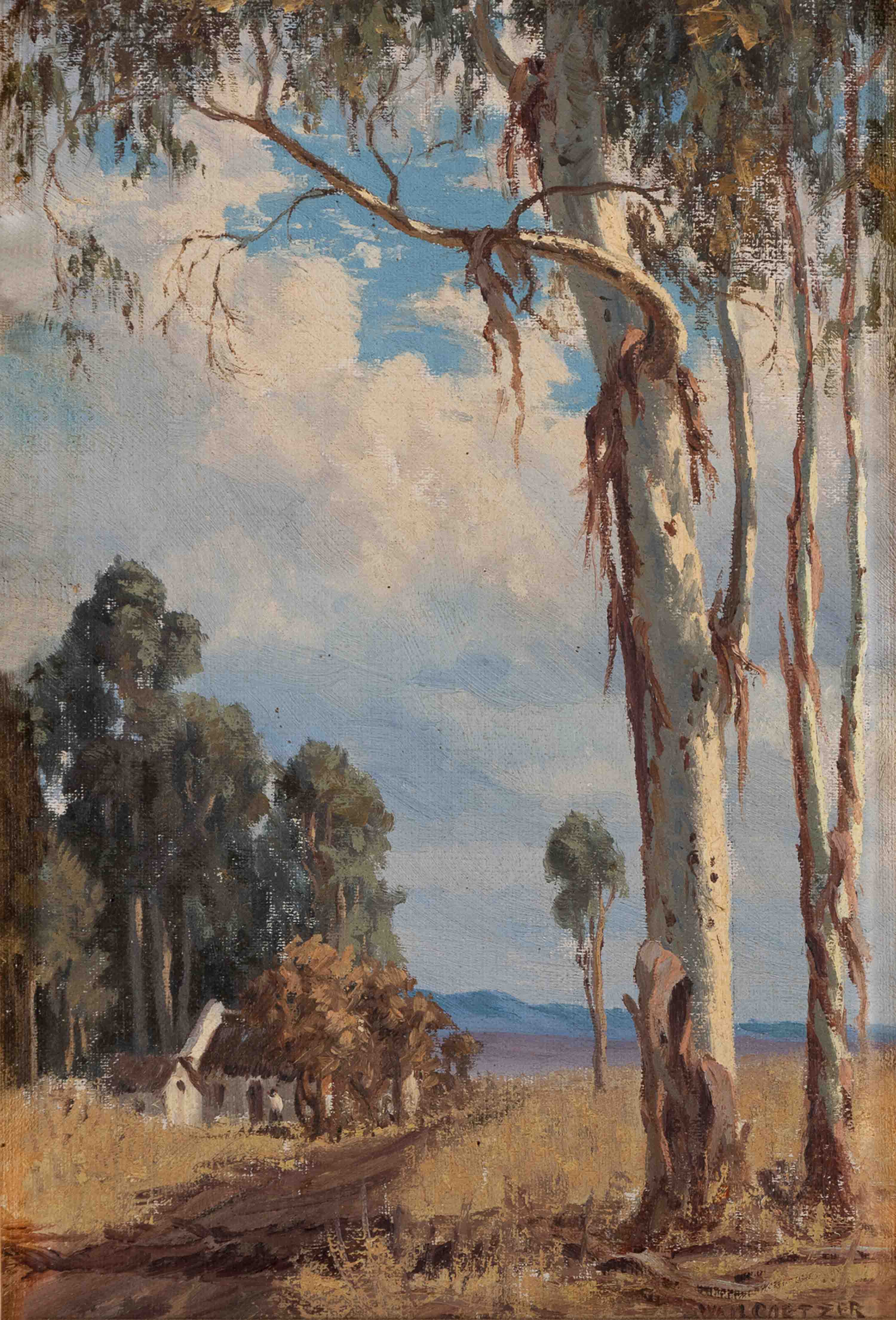 Willem Hermanus Coetzer (South African 1900 - 1983) LANDSCAPE WITH GUM TREES