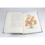 GREAT FLOWER BOOKS 1700 - 1900