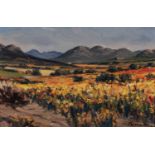 Hendrik (Hennie) Christian Niemann (South Africa 1941 ? ): NAMAQUALAND