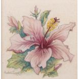 Barbara Eleanor Harcourt Tyrrell (South Africa 1912 ? 2015): HIBISCUS, and, PALE PINK HIBUSCUS, two