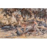 Johan Grobler (South Africa 1935 ? 1992): STEENBOKKIES IN THE SHADE