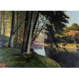 Fritz Chwala (AustriaÂ 1872 ? 1936): REFLECTIONS IN A FOREST