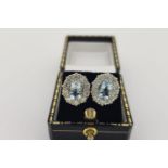 Pair of Aquamarine & Diamond Cluster Earrings, claw set central oval cut aquamarines are