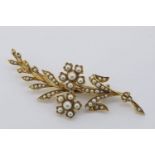 Pearl Flower/Fern Brooch, yellow gold, approximate weight 9.5g