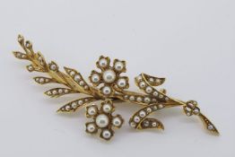 Pearl Flower/Fern Brooch, yellow gold, approximate weight 9.5g