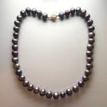 Freshwater Black Pearl Strand Necklace, 14ct yellow gold round clasp, approximate length 18.5