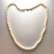 Freshwater White Pearl Necklace, 9ct yellow gold pearl set clasp, approximate length 20 inches