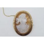 Detailed Gold Rimmed Cameo, marked 9ct yellow gold,