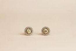 Certified pair of yellow and white gold fancy light yellow diamond halo studs, butterfly backs,