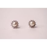 Pair of 9ct white gold pearl and diamond halo star earrings, boxed