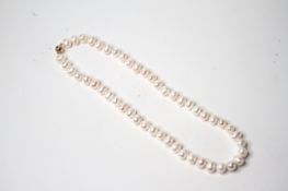 22" necklace strung with white freshwater cultured pearls and fitted with a 9ct yellow gold ball