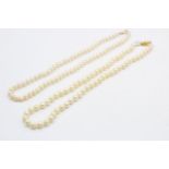 2 x 9ct gold clasp cultured pearl necklaces (37.7g)