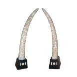 PAIR OF LARGE CARVED BONE VENEERED SHAPED TUSK