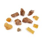 GROUP OF ROUGH AMBER FRAGMENTS