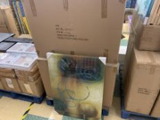 PALLET OF 46 LARGE CANVASSES RRP £39.99 EACH