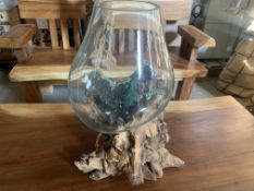 TEAK ROOT WITH GLASS VASE L15 X W20 X H30 RRP £195