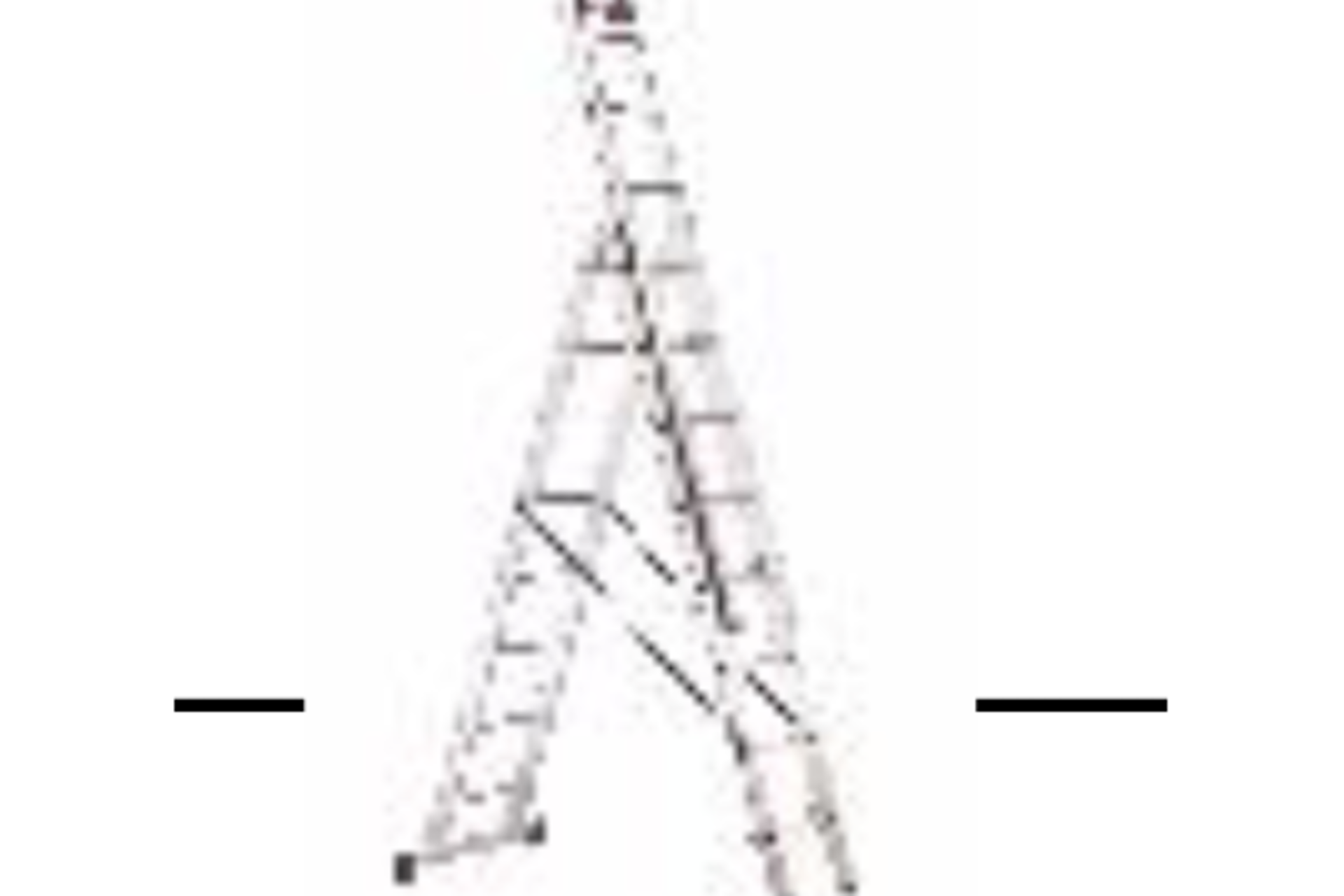 BRAND NEW EURO 3 EN131 REFORM LADDER (3 X 8) RRP £320 SVEUR3 3X8