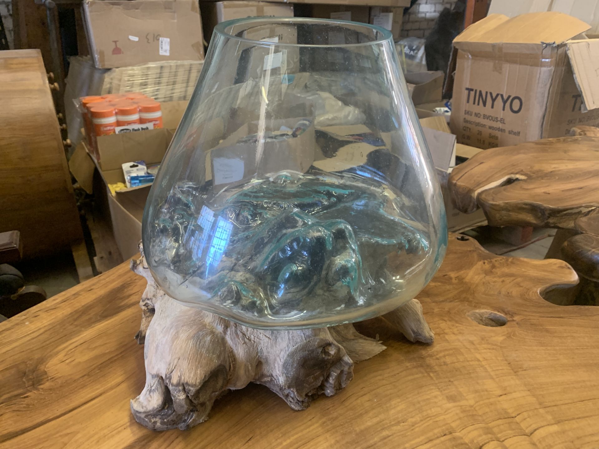 TEAK ROOT WITH GLASS VASE L15 X W20 X H30 RRP £195