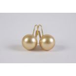 Pendientes en oro con perla Australiana golden.