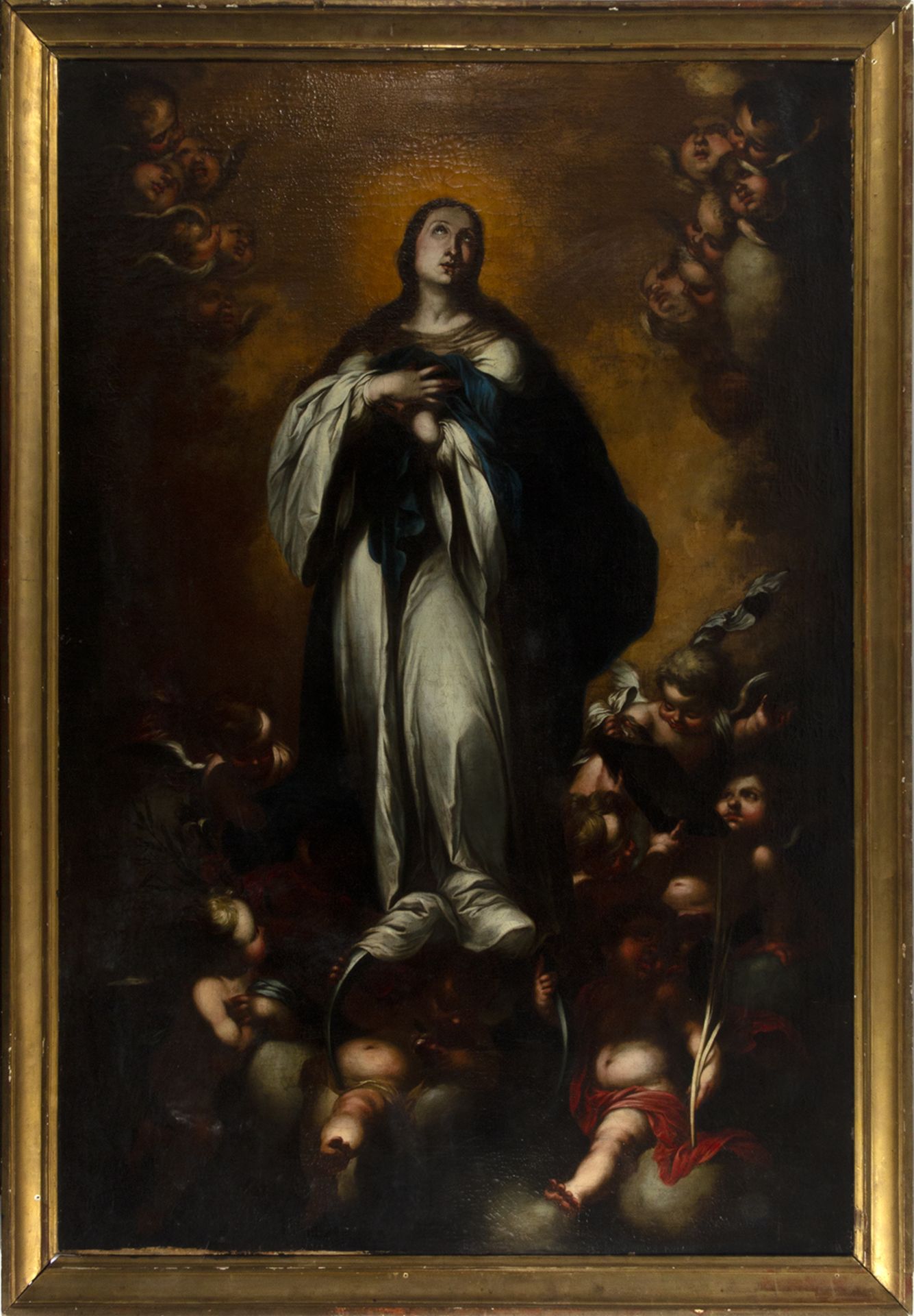 Atribuido a Cornelis Schut (Amberes, 1629 - Sevilla, 1685) Inmaculada.
