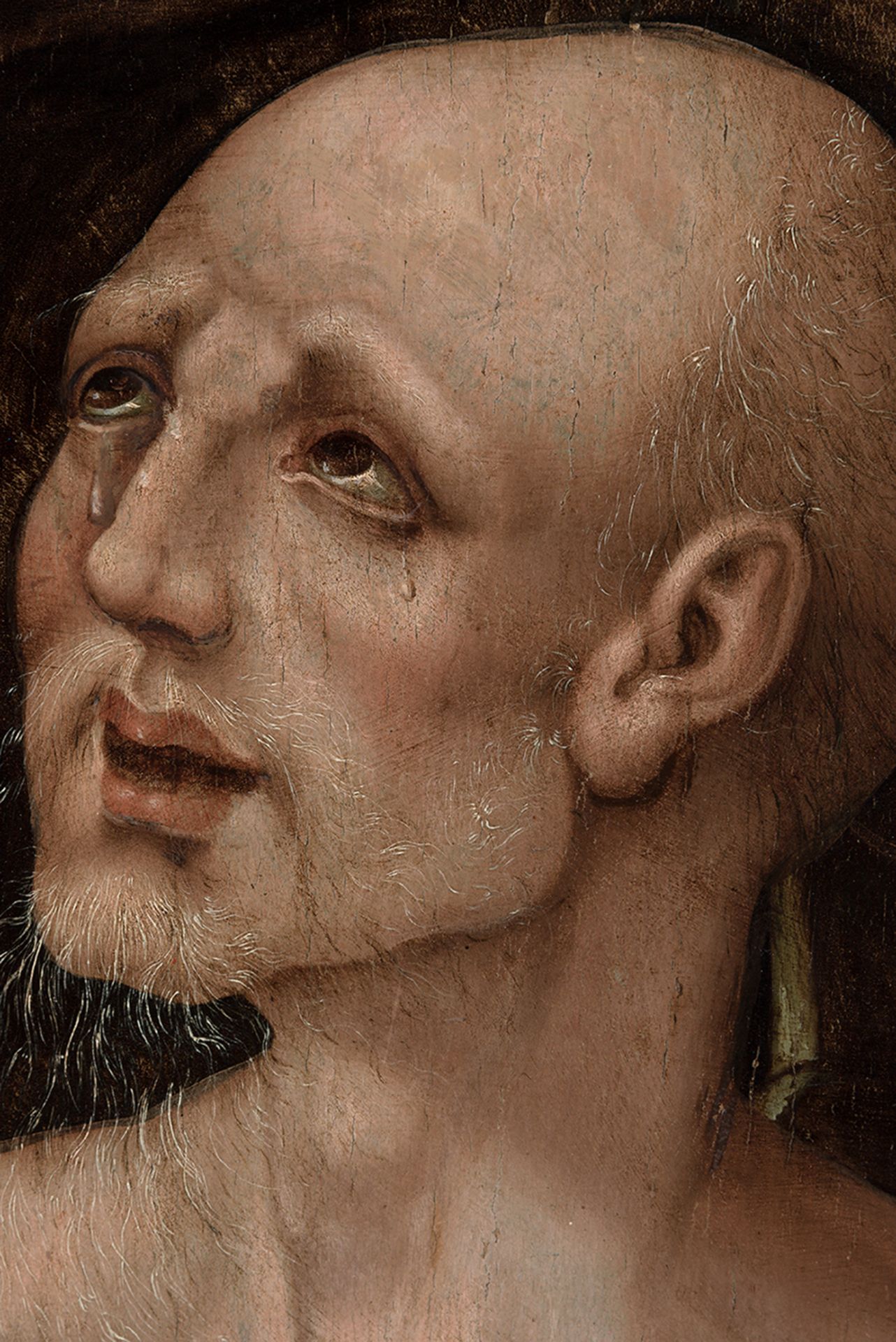 Spanish-Flemish school of the 16th century. Follower of Luis de Morales. Penitent Saint Jerome. - Image 3 of 6