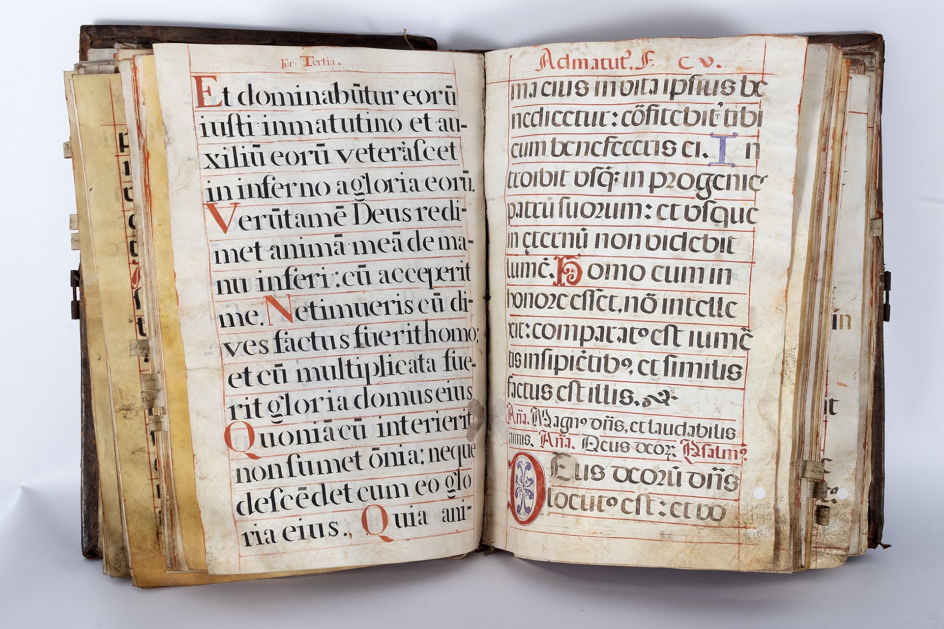 Cantoral or choir book manuscript in Latin on parchment.