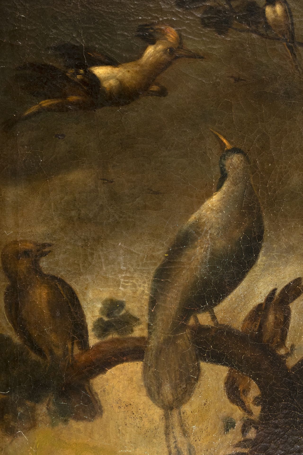 Flemish school, 17th century. Follower of Frans Snyders. Concert of birds. - Bild 3 aus 5
