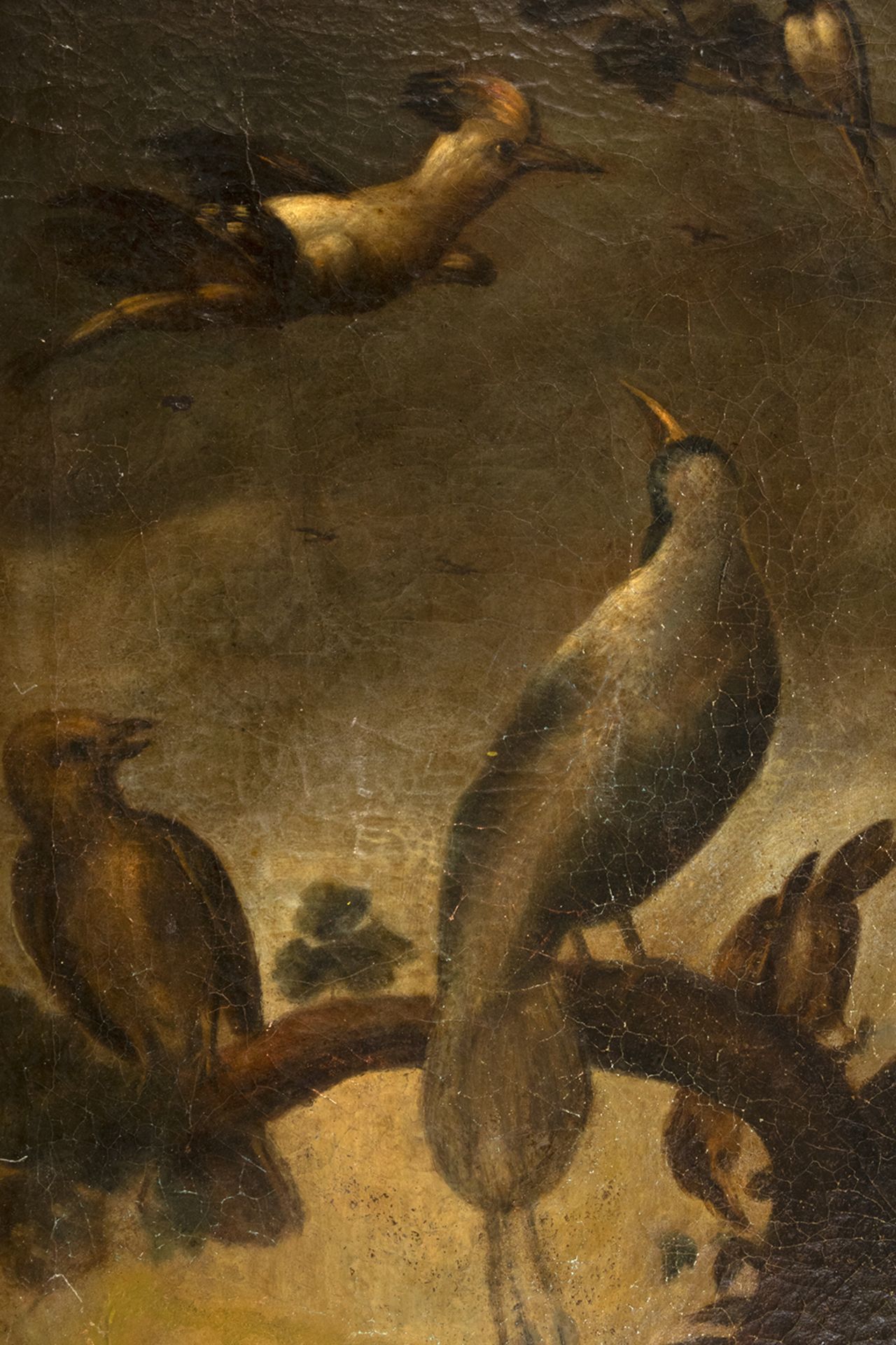 Flemish school, 17th century. Follower of Frans Snyders. Concert of birds. - Image 3 of 5