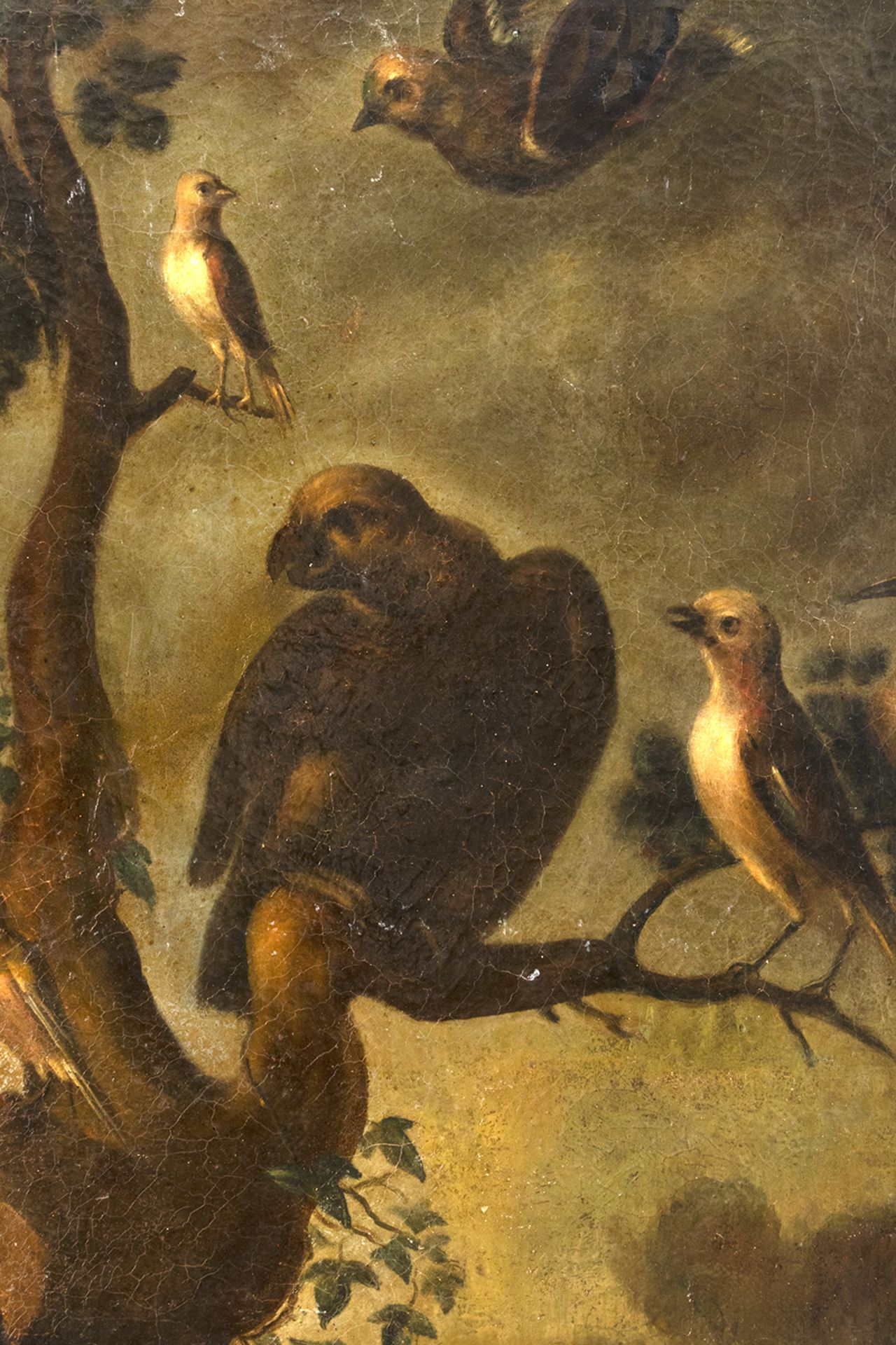 Flemish school, 17th century. Follower of Frans Snyders. Concert of birds. - Bild 4 aus 5