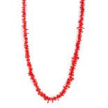 Coral root necklace.