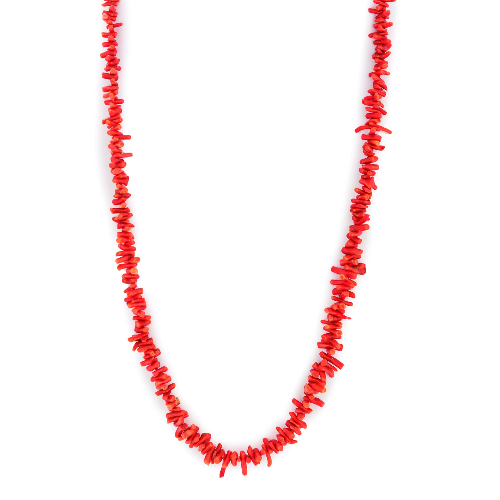 Coral root necklace.